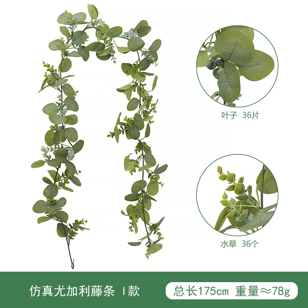 Rotin d'eucalyptus type I
