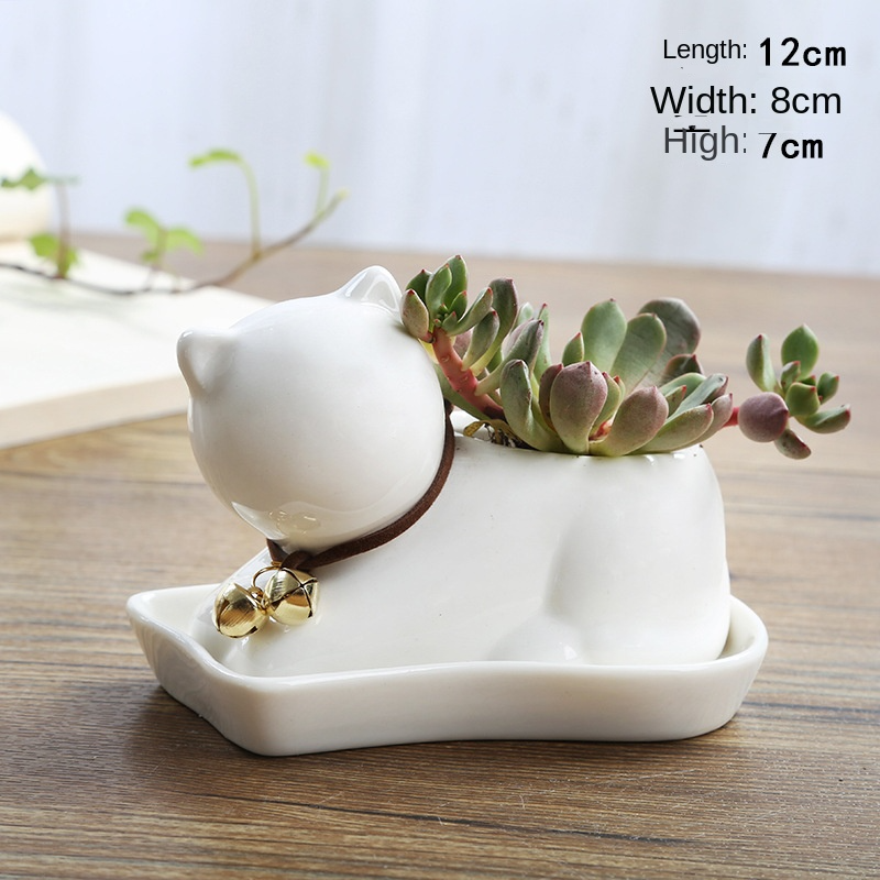 FP Chaton + Plateau