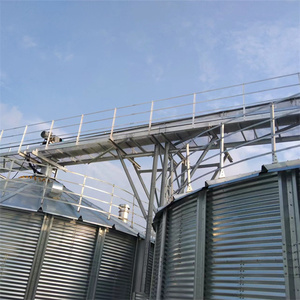 シンプルな構造水平ドラッグチェーンコンベヤー醸造所飼料工場に適しています - Product Image 5