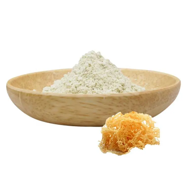 Irish seaweed extract sea moss extract powder