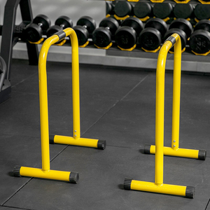 Yüksek kaliteli Fitness <span class=keywords><strong>Lebert</strong></span> ekolayzır/Parallettes şınav çubuğu DIP barlar Calisthenics barlar