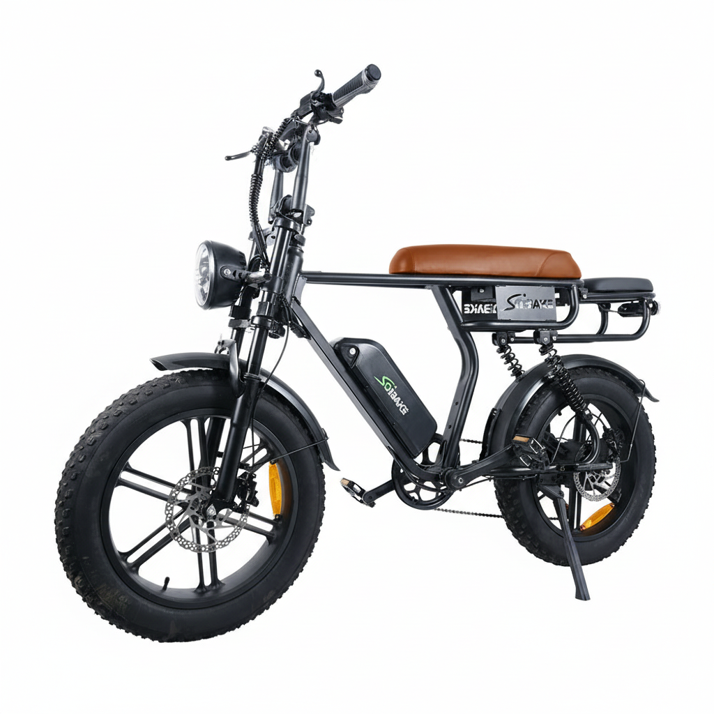 C11 2-seater ebike with brown seat