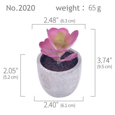 RTS2020(65g)