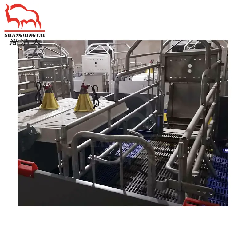 pig pen pigs breeding cage pig farm full equipment animal cages products factories for sale in china piggery equipment