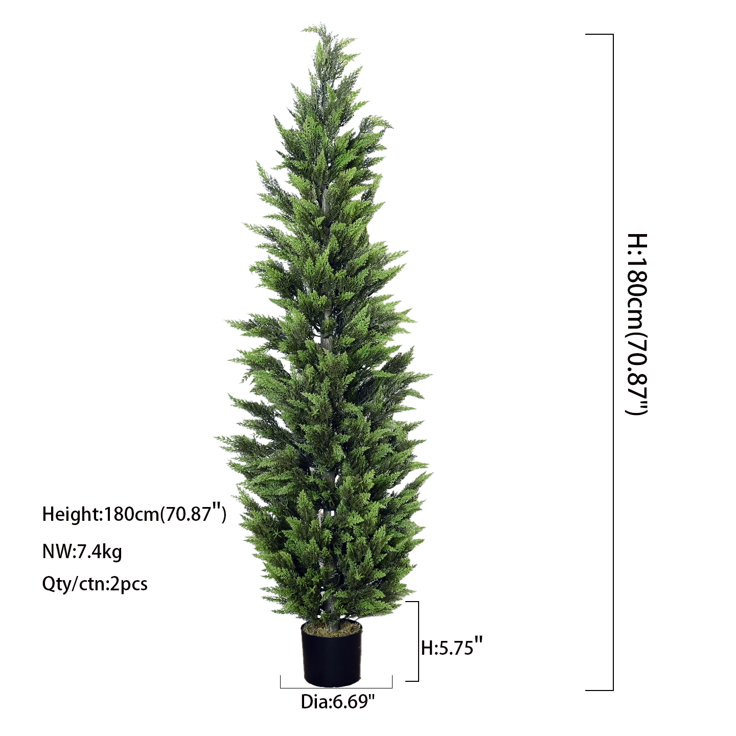 5.9ft