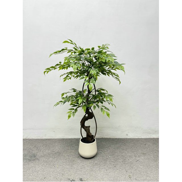Vert 120 cm/4 pieds