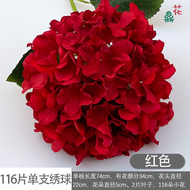 116 pétales sur un seul hortensia rouge
