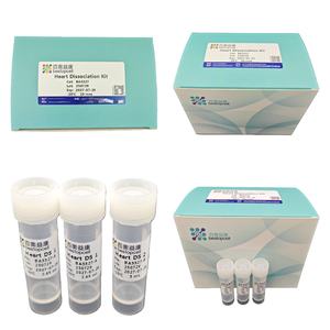 Kit dissociazione gastrointestinale (TEST 10) dissociazione tessuto per ricerca ISO 9001 BA3316 - Product Image 6