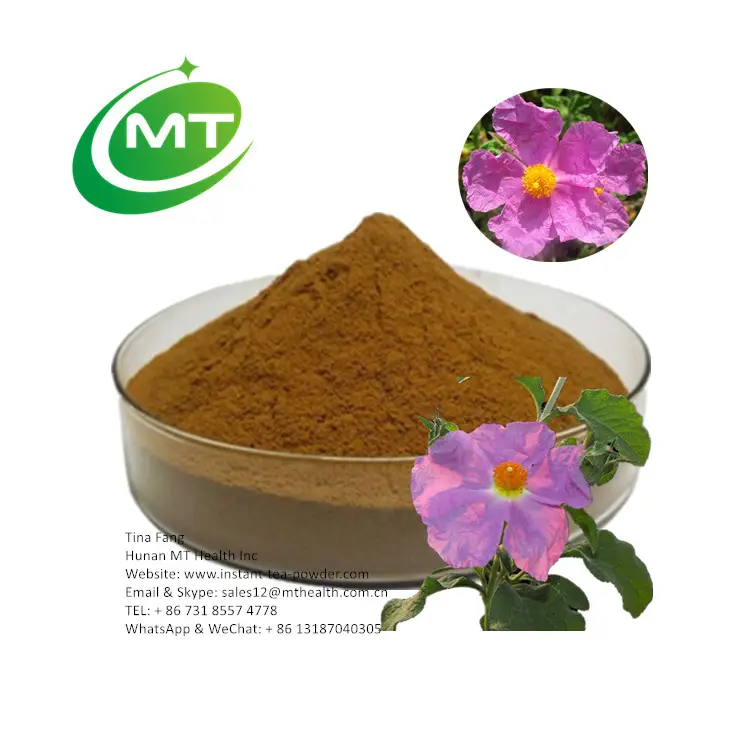 Cistus incanus/rosa pó de rosa de pedra, amostra livre de alta qualidade, 100% puro orgânico, 10:1 cistus, extrato creítico 20% polifenóis