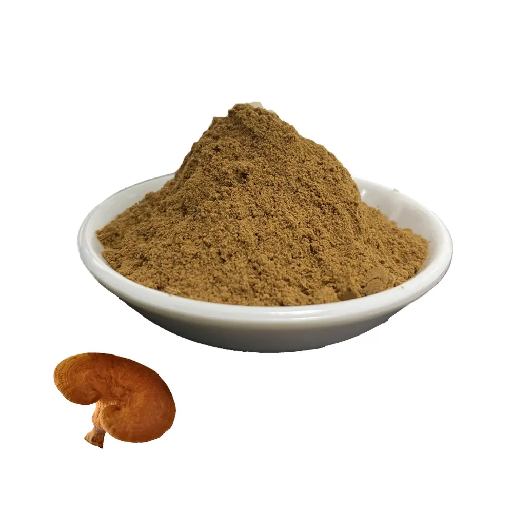 Rongsheng Supply Hoge Kwaliteit Biologische Rauwe Plakjes Rode Reishi Paddestoel Extract
