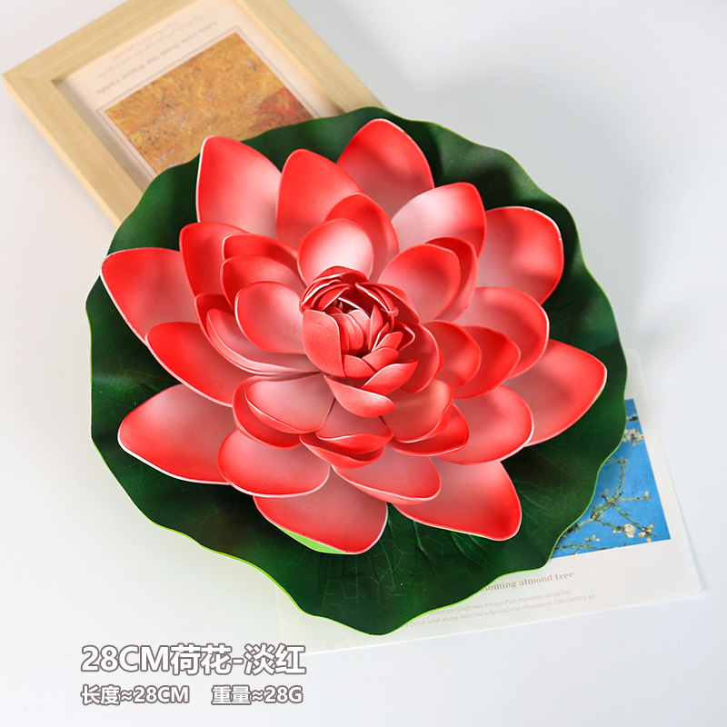 Lotus-28CM Rouge clair