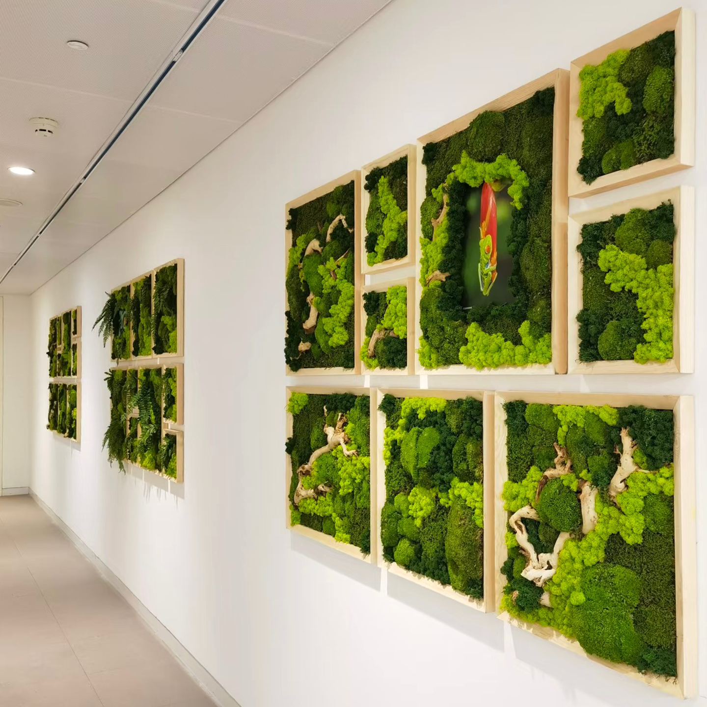 Panel decorativo de musgo