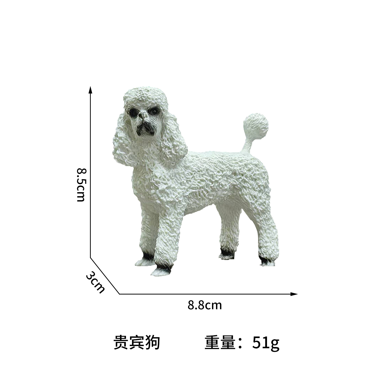 Caniche