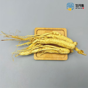 All'ingrosso radice di Ginseng bianco di alta qualità 3 ~ 15cm di lunghezza naturale radice intera massa di Ginseng - Product Image 3