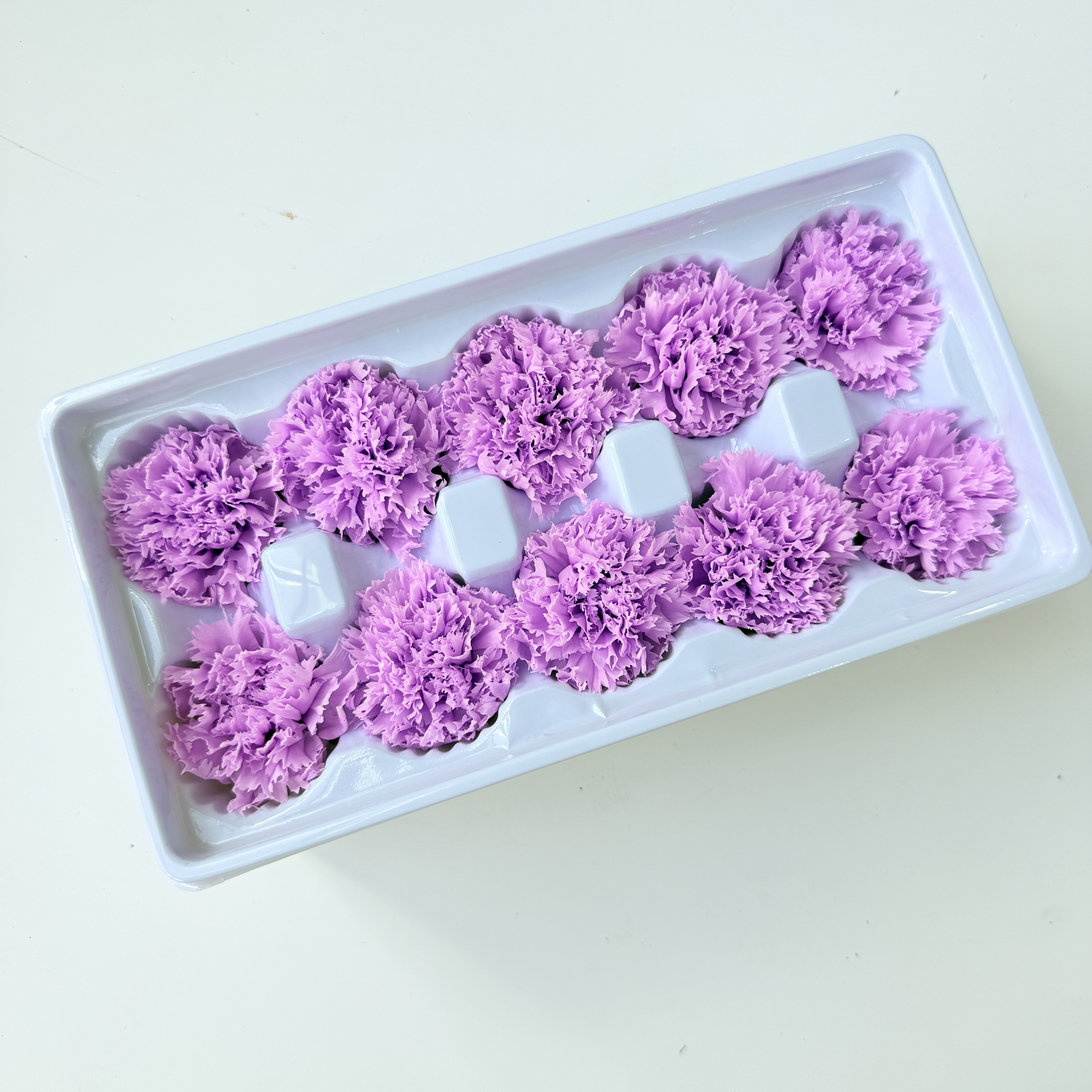 Pink purple