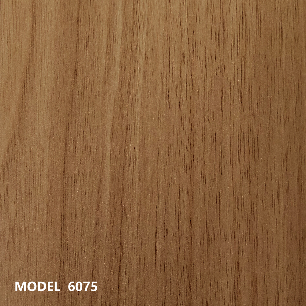 MODEL 6075