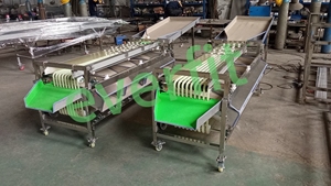 Rail Type <strong>Sorting</strong> <strong>Machine</strong> Size <strong>Sorting</strong> <strong>Machine</strong> 800kg/h