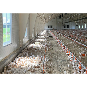 Đúc sẵn trang trại Gà nhà kết cấu thép xây dựng cho gia cầm trang trại - Product Image 6