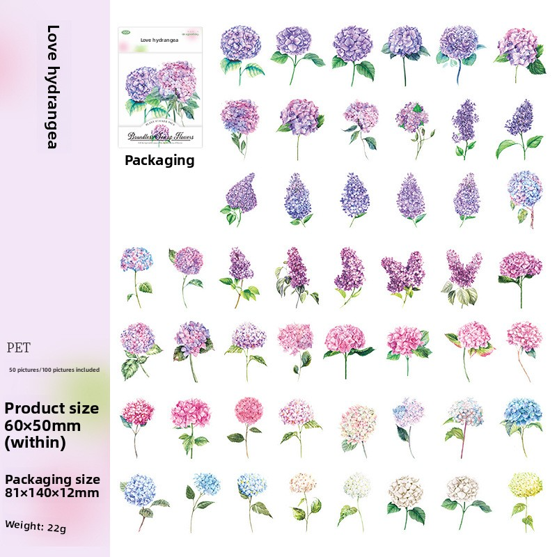 D 4 Love Hortensia-rose