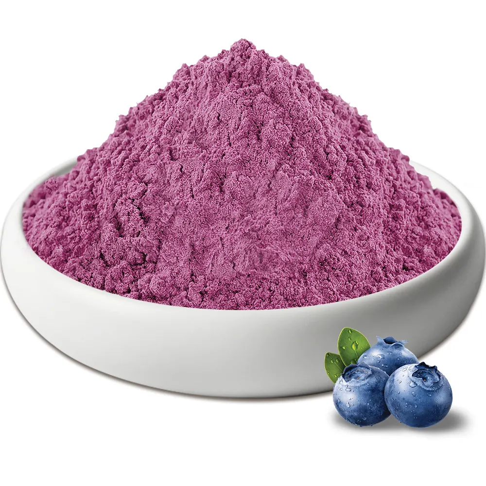 Herbal Spirit bubuk blueberry kering beku liar bubuk ekstrak blueberry alami 25% antosianidin