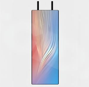 P2.5 esterno di alta qualità conveniente ampio angolo di visione WIFI 4G 5G lettore USB LAN Led modulo di visualizzazione Poster per eventi - Product Image 4