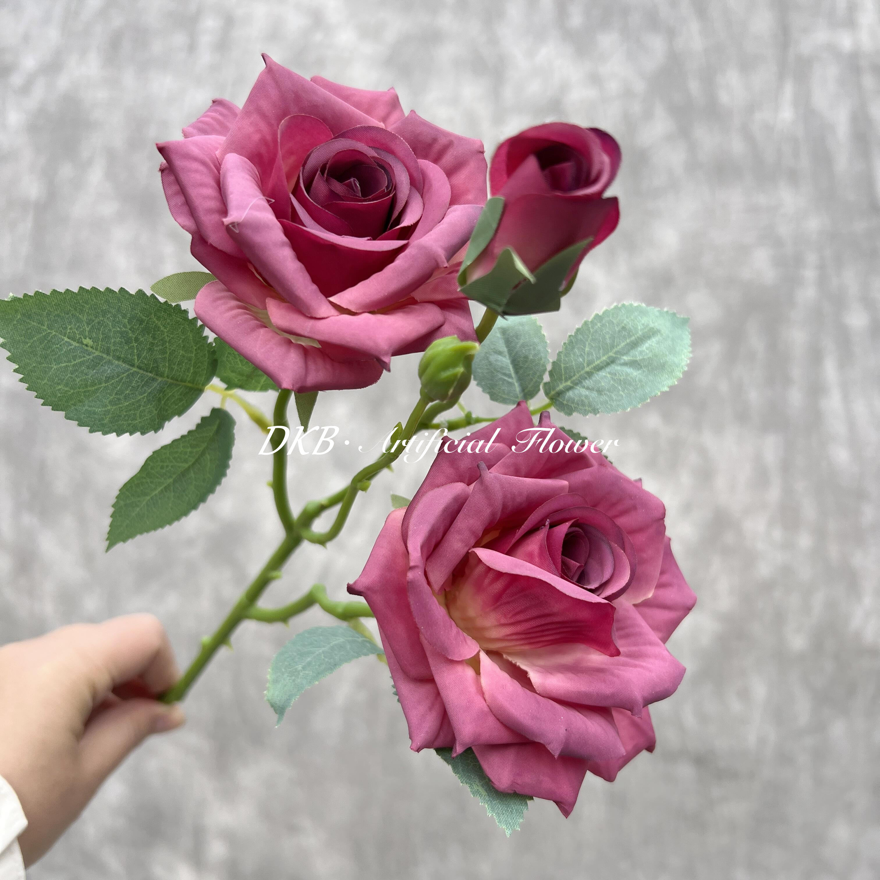 มณฑลเบอร์กันดี