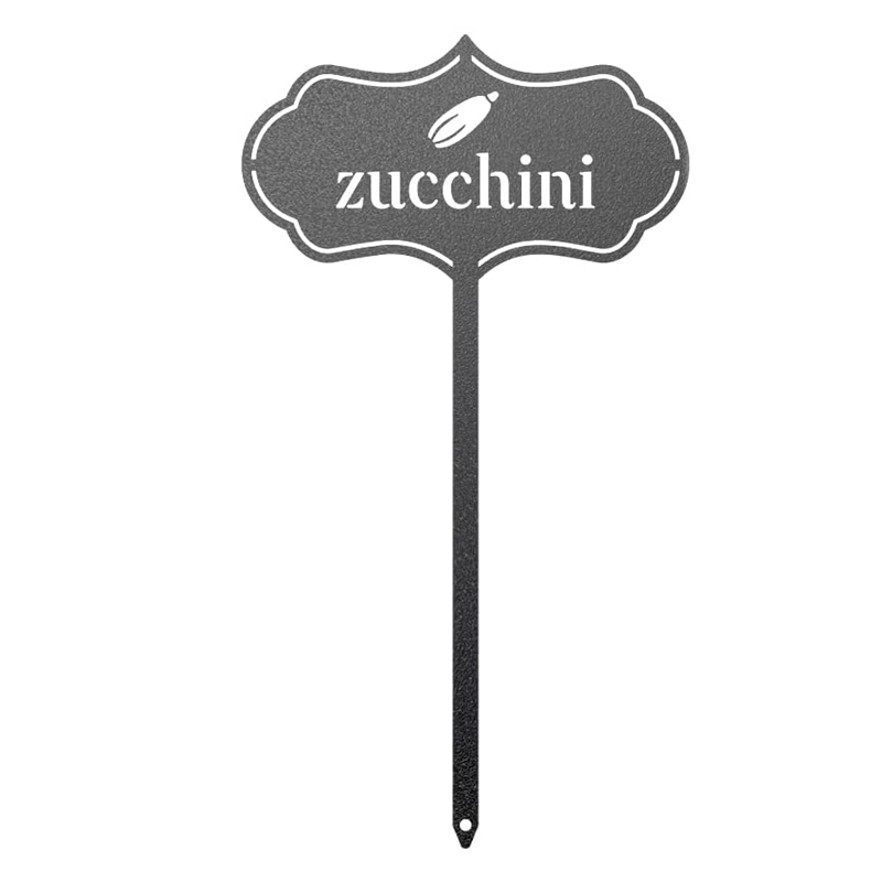 Black-Zucchini