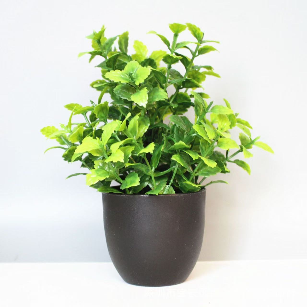 Green H