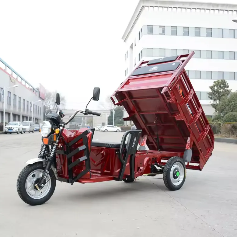 Truck Tricycle 200CC/250CC/300CC Three Wheeler Gasoil Tricycle Cargo Motorcycle Heavy Loading