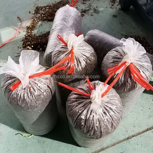 Fully <strong>Automatic</strong> Mushroom Rod Bagging <strong>Machine</strong>/Intelligent Rotary Frequency Conversion Bagging and Sealing <strong>Machine</strong> - Product Image 6