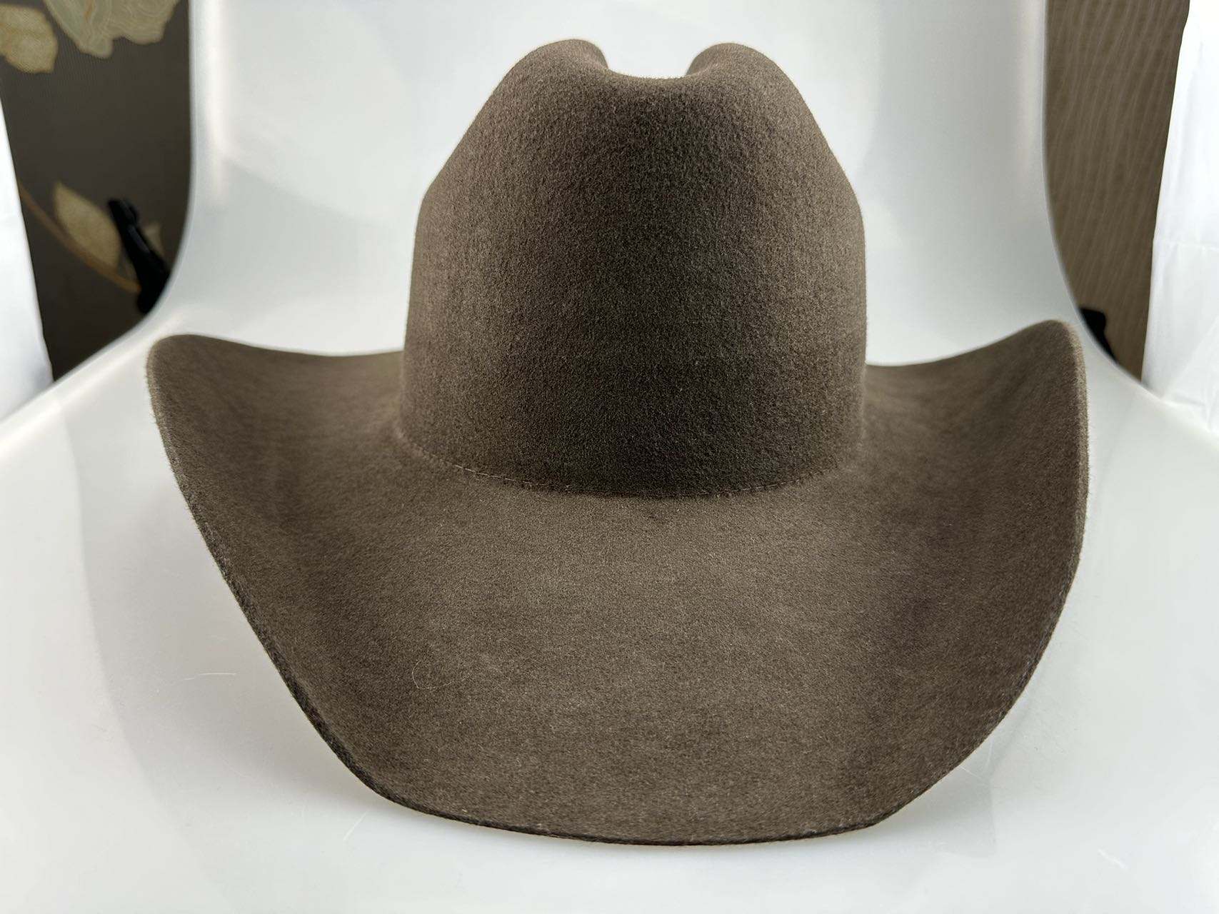 สีน้ำตาล