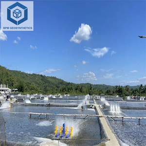 Geomembranas HDPE 30 milジオメンブレンライナー水産養殖インドネシア - Product Image 1