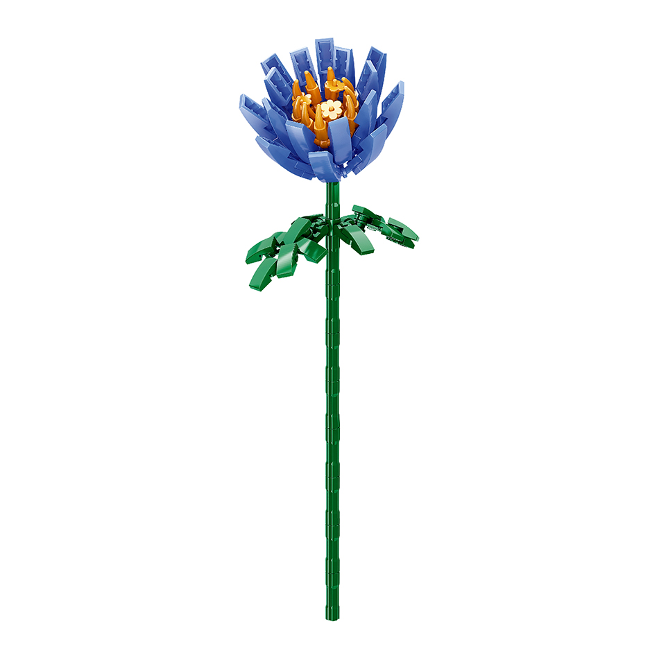 crocus bleu