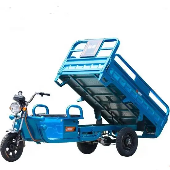 Трехколесный трехколесный электрический трехколесный грузовой 1000W EEC электрический трехколесный велосипед