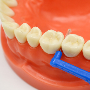 LK-S31LH şekil <span class=keywords><strong>L</strong></span> çelik InterDental temizleme İnterproksimal fırçalar boyutları