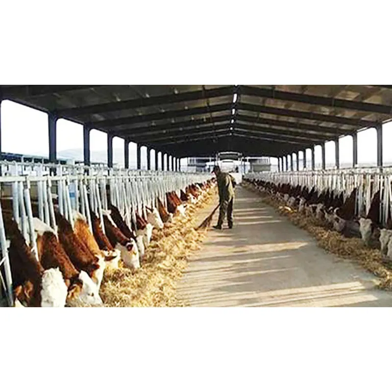 Vorgefertigte Stahl konstruktion Design Viehzucht Schuppen Ziegen-/Viehfarmen Kuhstall bau Geflügelfarmen