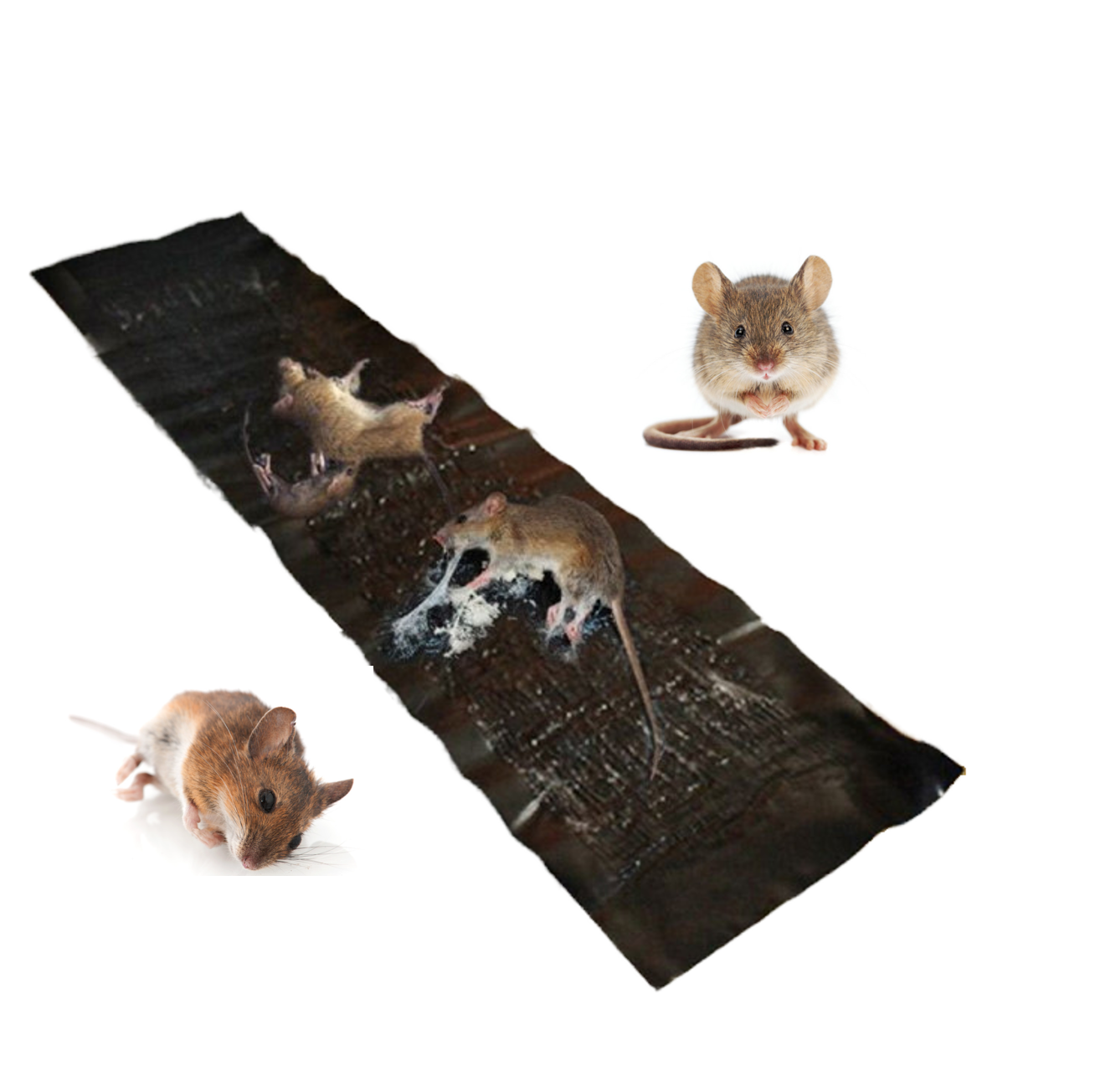 120*27.5 cm Black Rodent Glue Tape