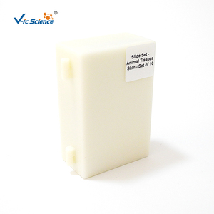 Diapositivas preparadas para Parasitología Médica para estudiantes que aprenden investigación médica, uso de diapositivas preparadas con protozoos de alto estándar - Product Image 1