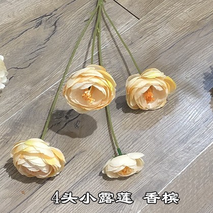 4 little lulian champagne