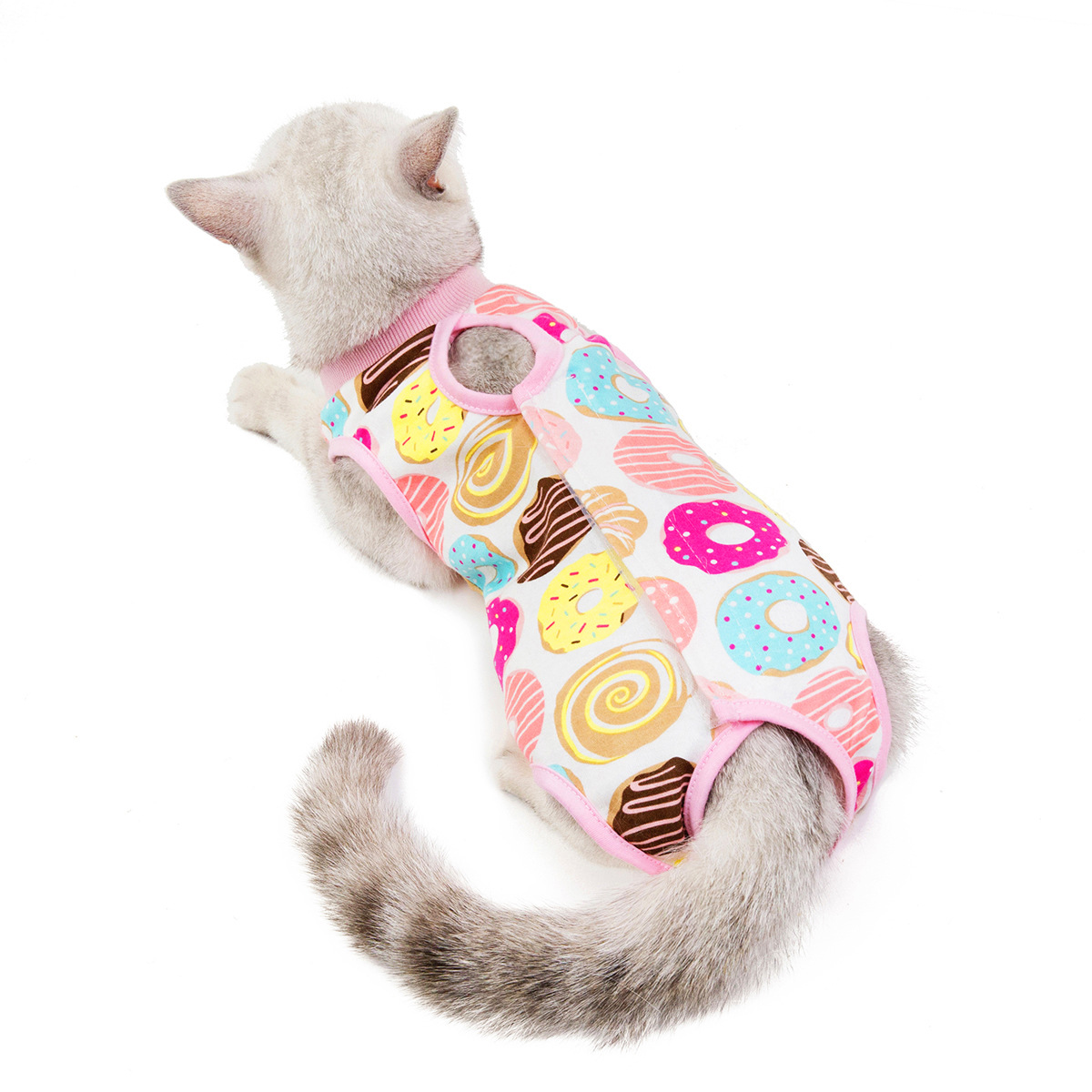 Colorful (Donut)