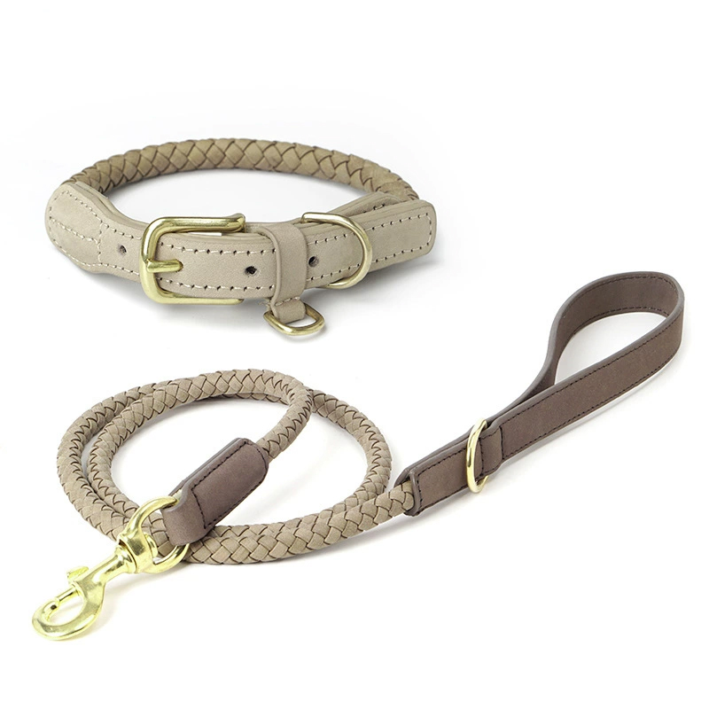 Ensemble de laisses 1