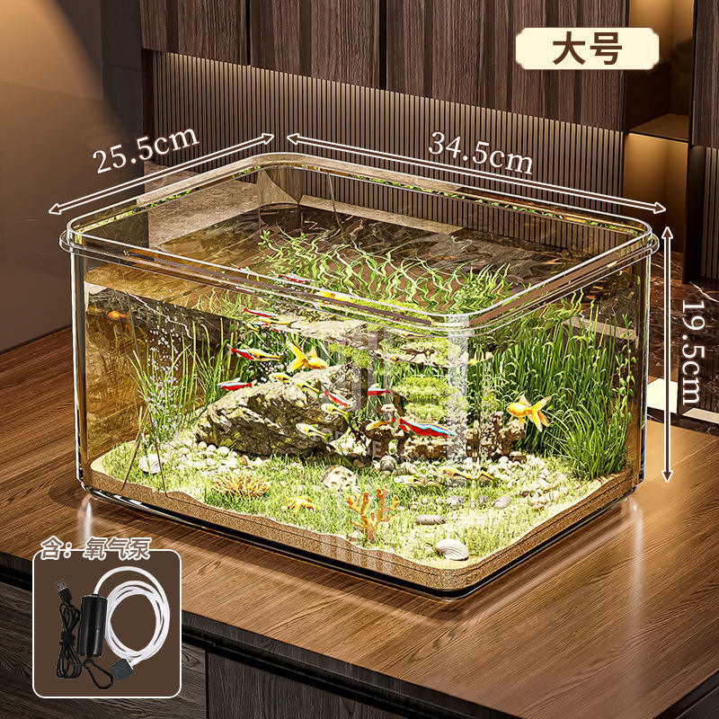 Large fish tank + oxygen pump