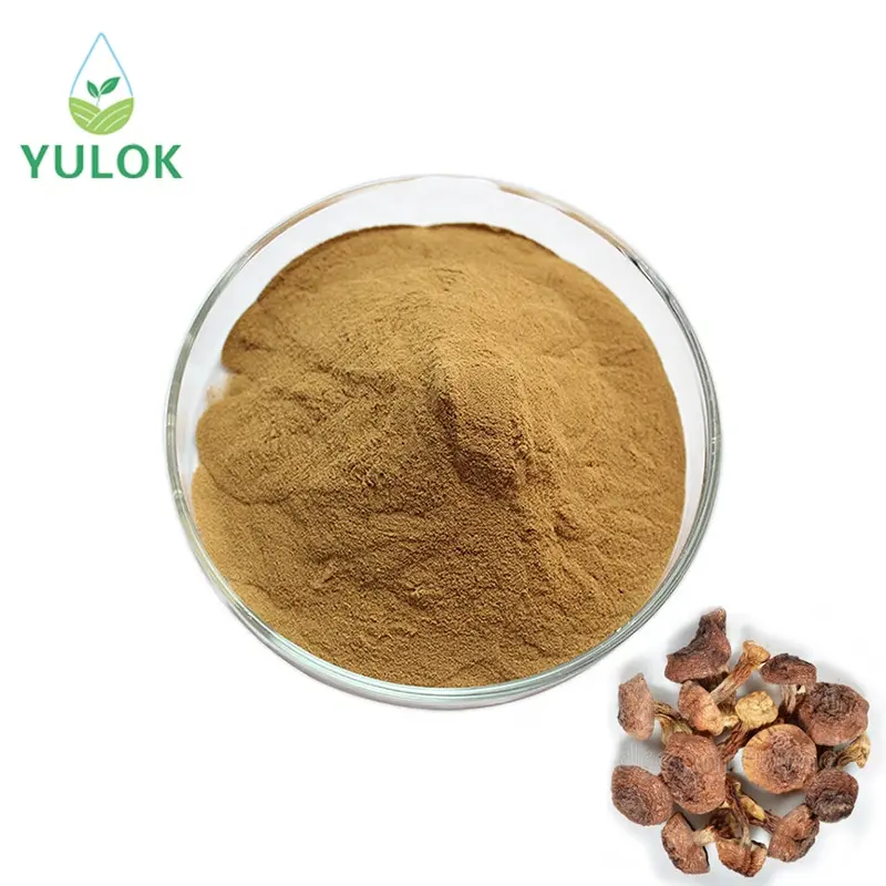 Bán Hot hữu cơ tự nhiên Agaricus Blazei murrill chiết xuất polysaccharides 10% -50%