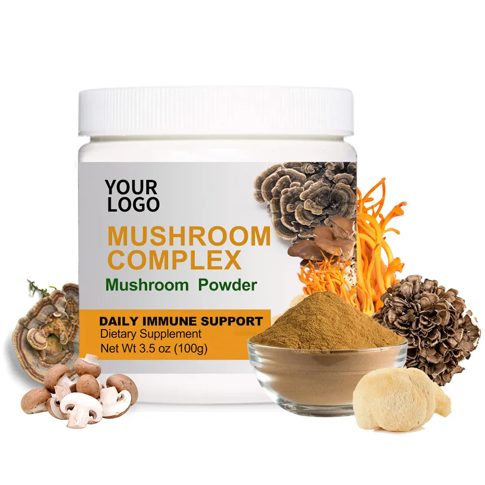 100% bubuk organik murni Ganoderma Lucidum Lion Mane, Cordyceps, Chaga, Turki ekor jamur ekstrak bubuk jamur kompleks