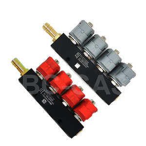 Sequentielles Kraftstoffs ystem 2Ohm 4-Zylinder-Einspritzschiene CNG LPG Digitale Kraftstoffe in spritz ung Lpg Gemeinsame Einspritz schiene