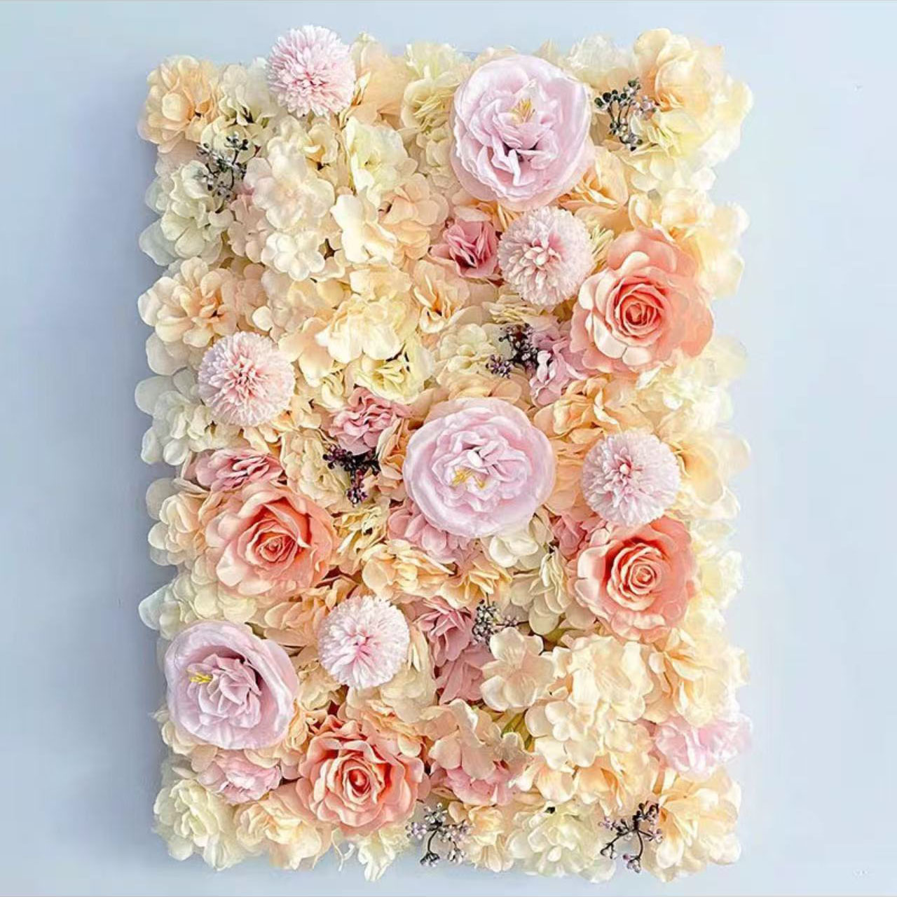 Mur de Rose de Champagne 0.4m * 0.6m