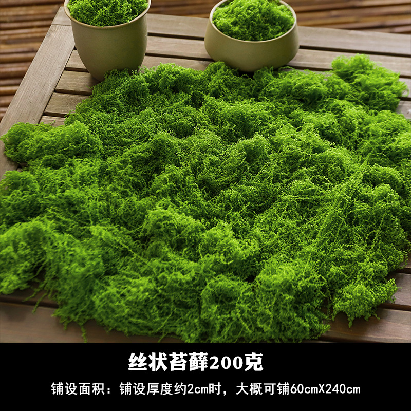 200 grams of filamentous moss (light green)