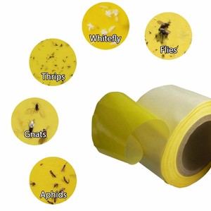 30cm * 100m黄色粘着ロール接着剤トラップ温室用または農場用アザミウマコナジラミヨコバイ