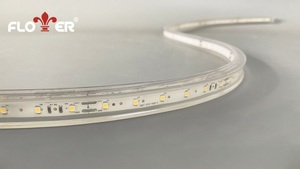 FLOWER ILLUMINATION Outdoor IP68 Classic <strong>LED</strong> Strip Light Normally on 120LEDs/m Facade Building Outline Lighting Strip Light - Product Image 3