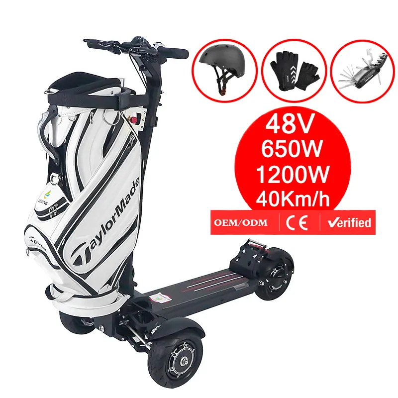 New golf charter 48V 13Ah 40KM/H adult folding small outdoor off road 3 wheel electric scooter